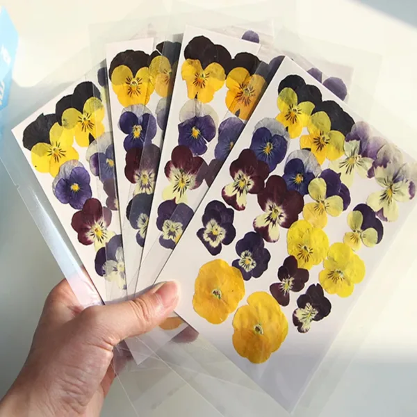 dried pressed flowers 3