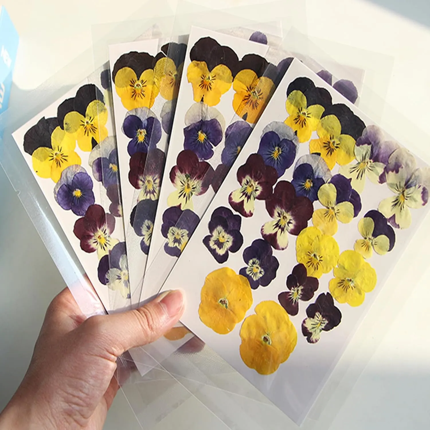 dried pressed flowers 3