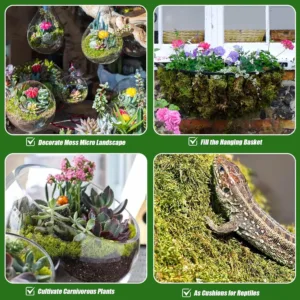 dried sphagnum moss 2