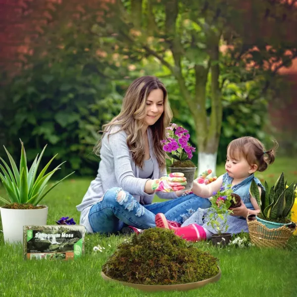 dried sphagnum moss 3