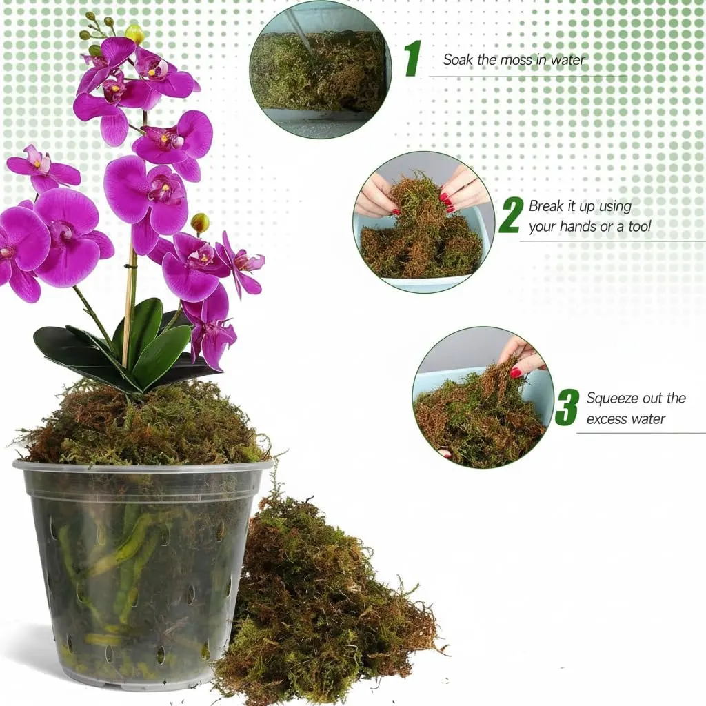 dried sphagnum moss 4