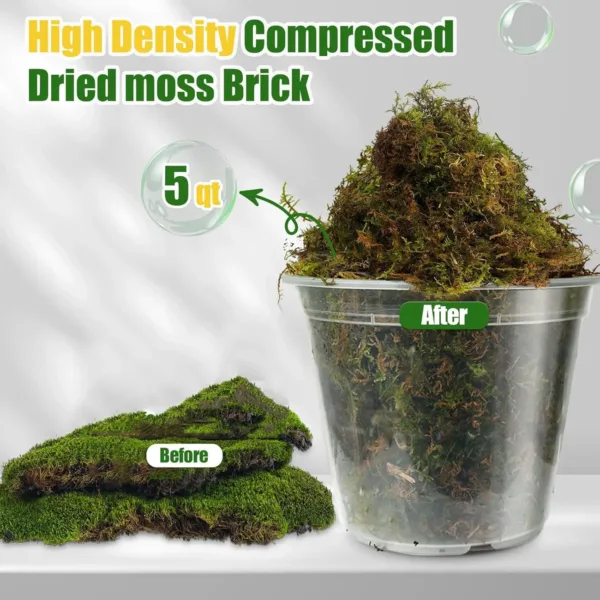 dried sphagnum moss 5