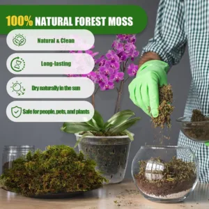 dried sphagnum moss 6