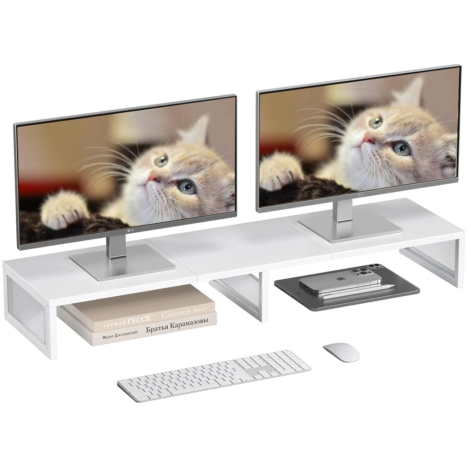 dual monitor stand 1