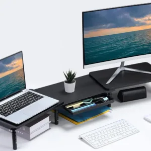 dual monitor stand 1