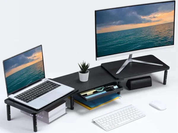 dual monitor stand 1