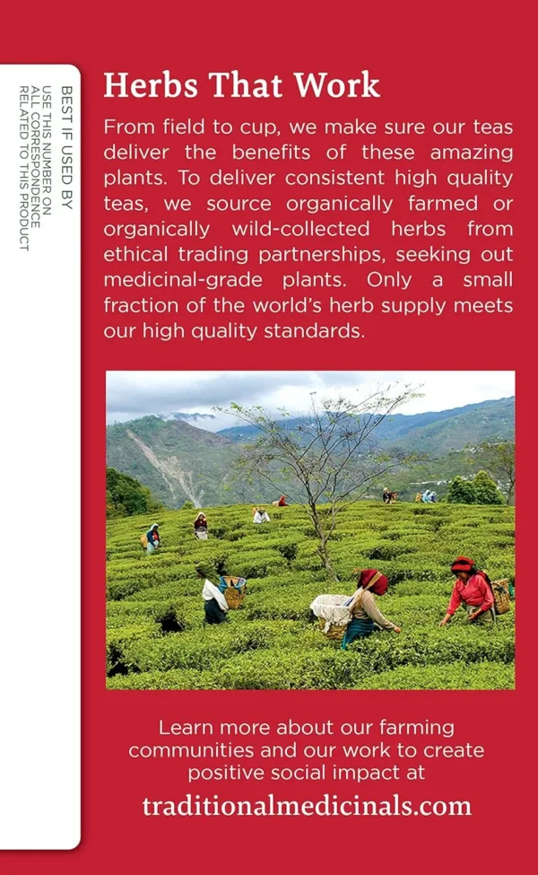 echinacea plus organic tea 4