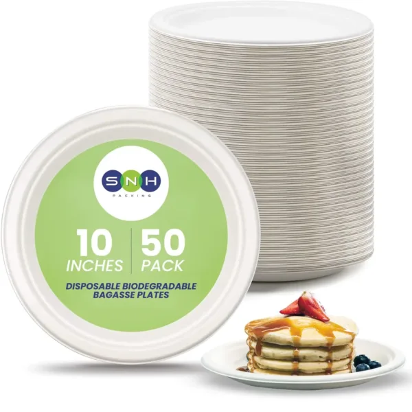 eco friendly plates 10 1