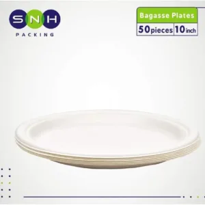 eco friendly plates 10 2