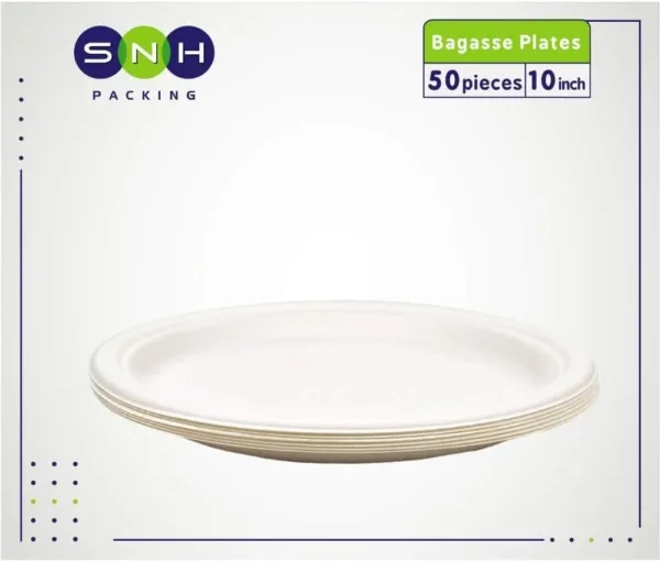 eco friendly plates 10 2