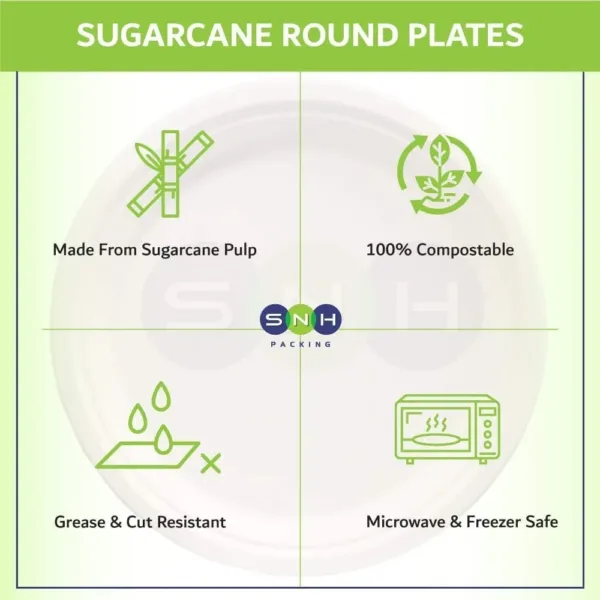 eco friendly plates 10 5