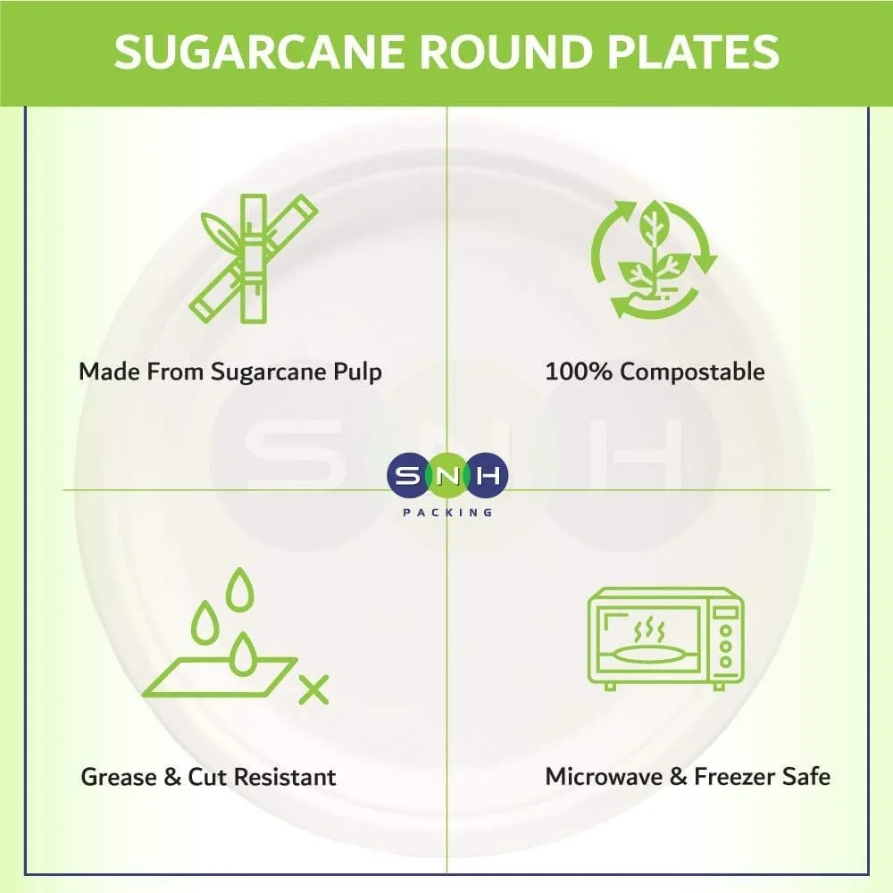 eco friendly plates 10 5