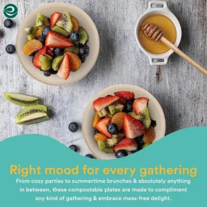 eco soul compostable bowls 4