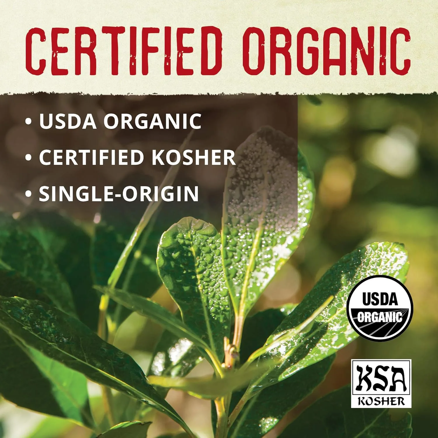 ecoteas organic yerba 4