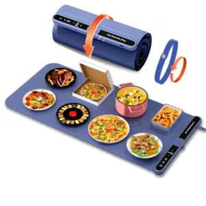 electric food warmer 1