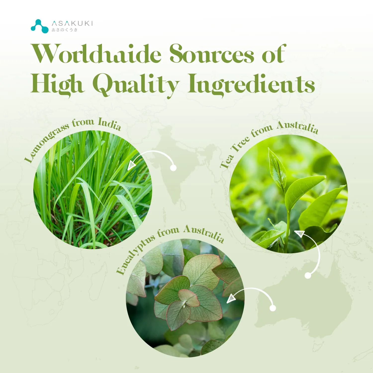 essential oils set 3