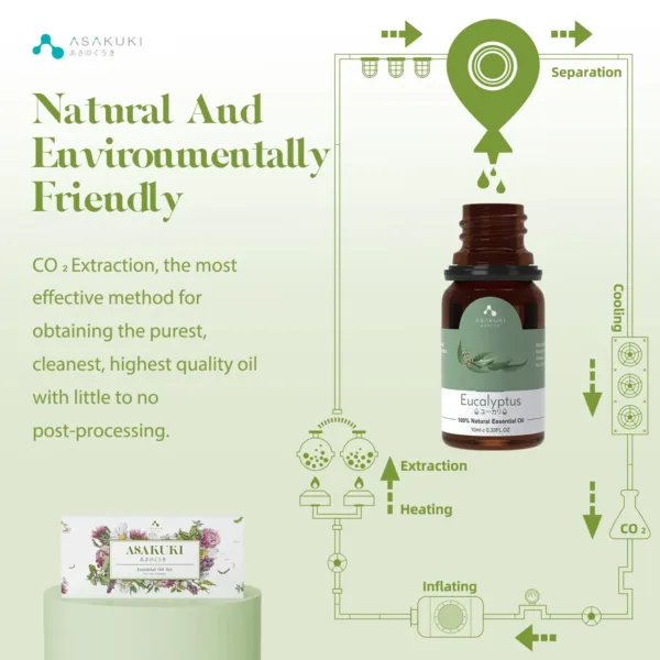 essential oils set 6