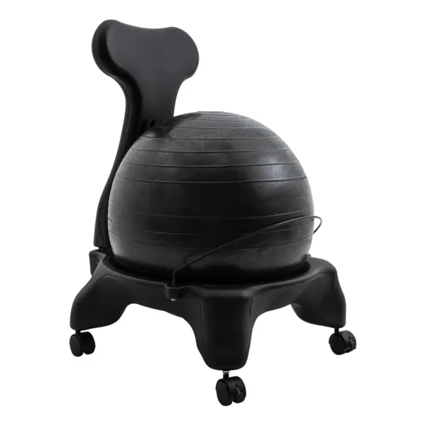 exercise ball chair 1