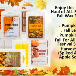 fall wax melts 2
