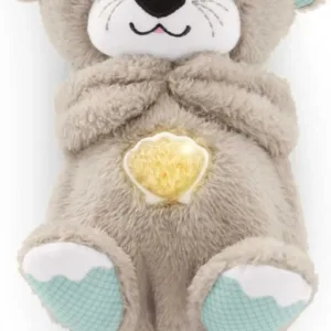 fisher price otter soother 1