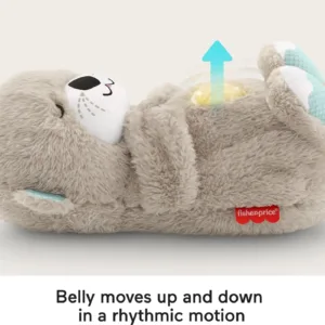 fisher price otter soother 4