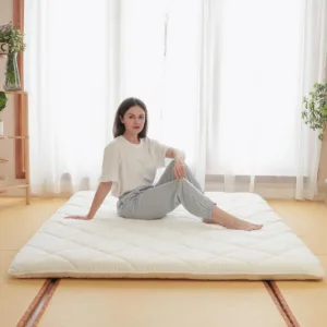 floor futon mattress 2