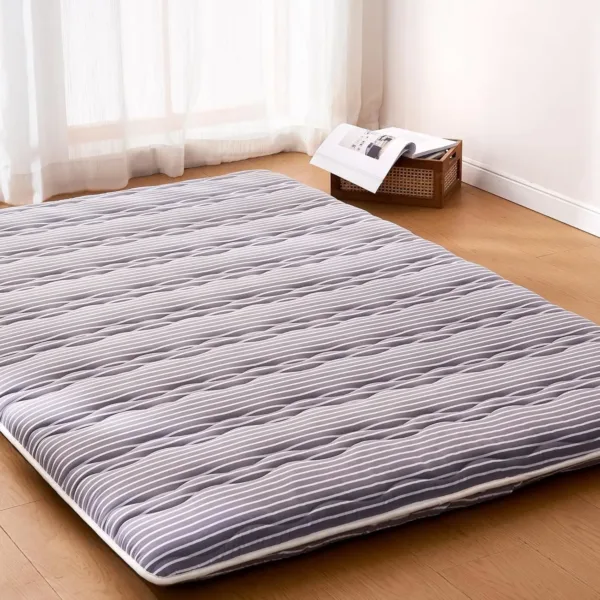 floor mattress futon 2