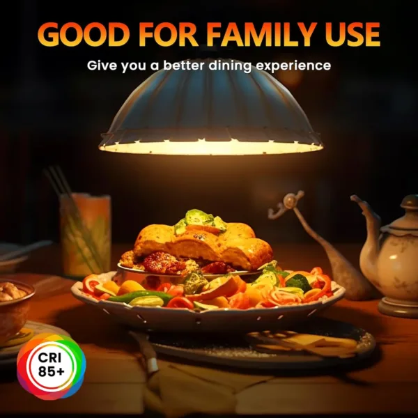 food heat lamp bulb 5