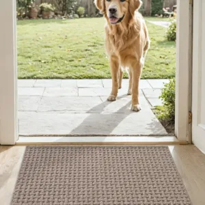 front door mat non slip 7