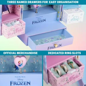 frozen musical jewellery box 4