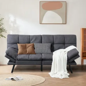 futon sofa bed 1