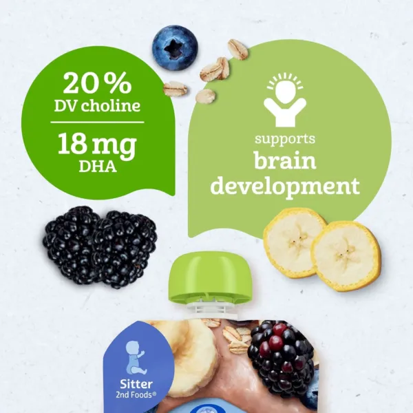 gerber organic banana oat 5