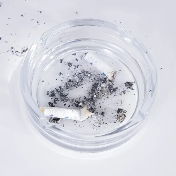 glass ashtray windproof 4