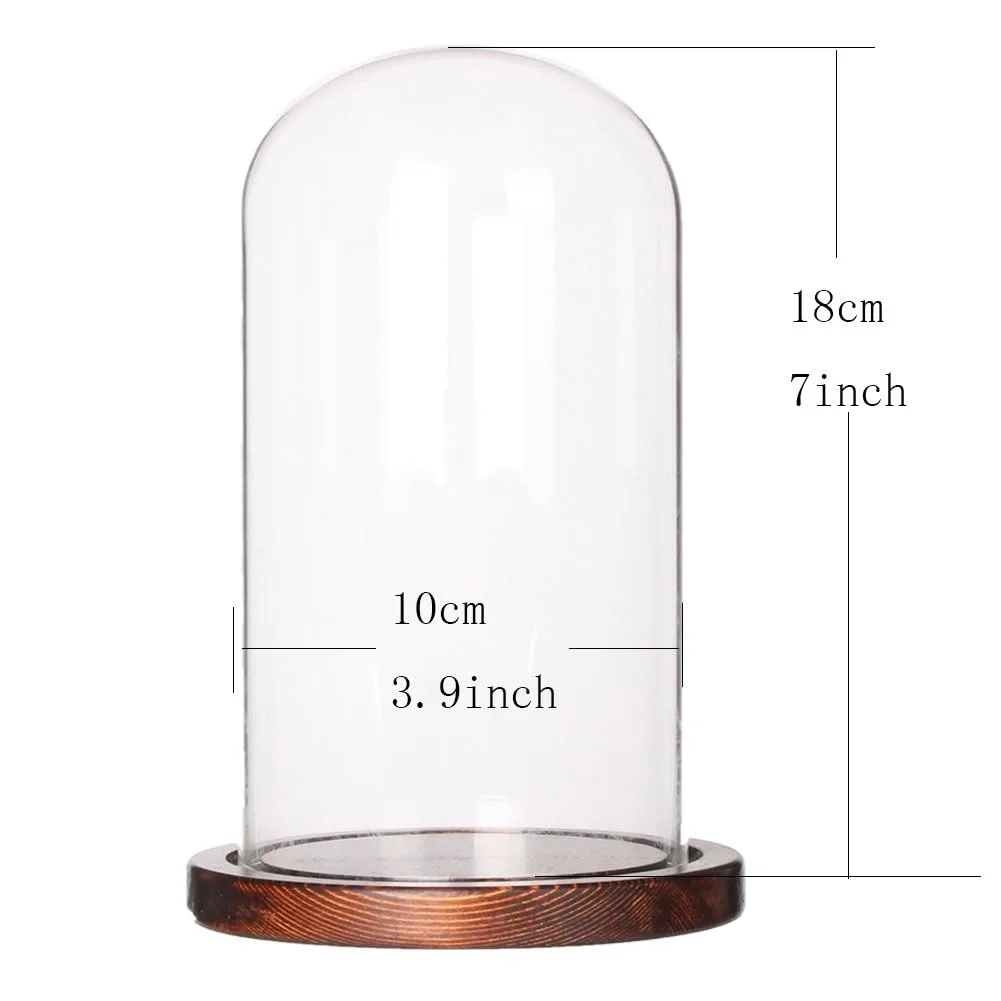 glass cloche dome display 2