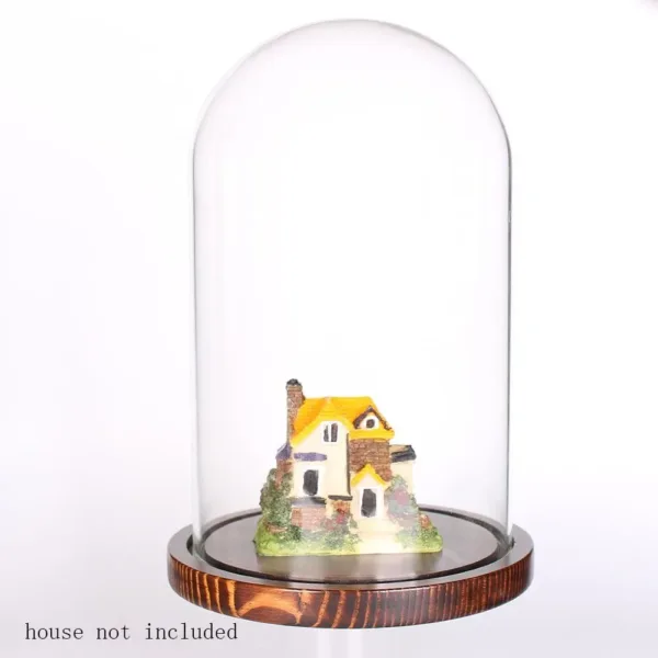 glass cloche dome display 3