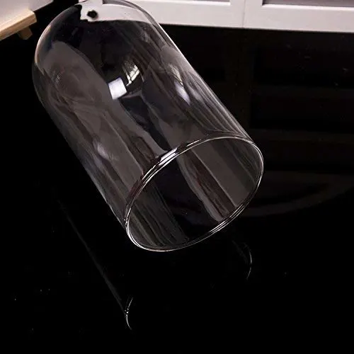glass cloche dome display 4