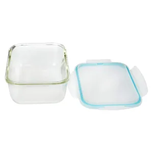 glass food container borosilicate 2