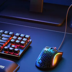 glorious mouse bungee 5