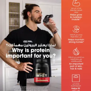 gold standard whey protein 4