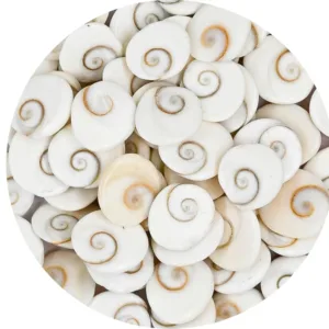 gomati chakra original stones 1