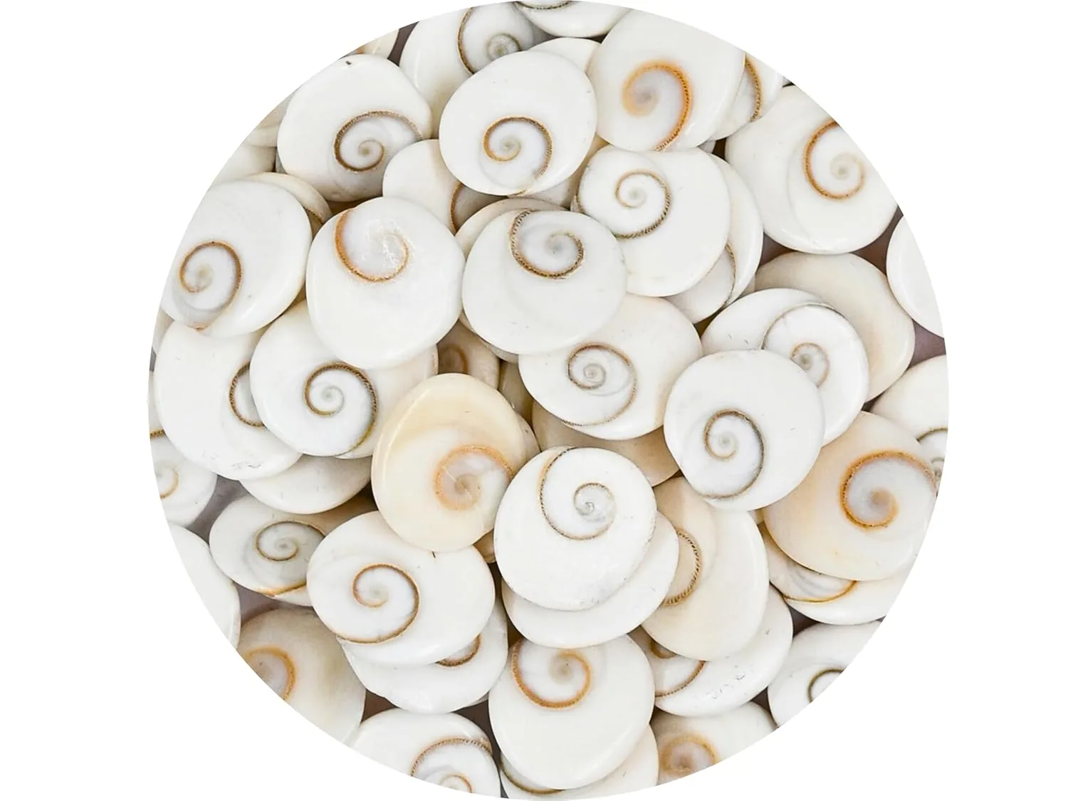 gomati chakra original stones 1