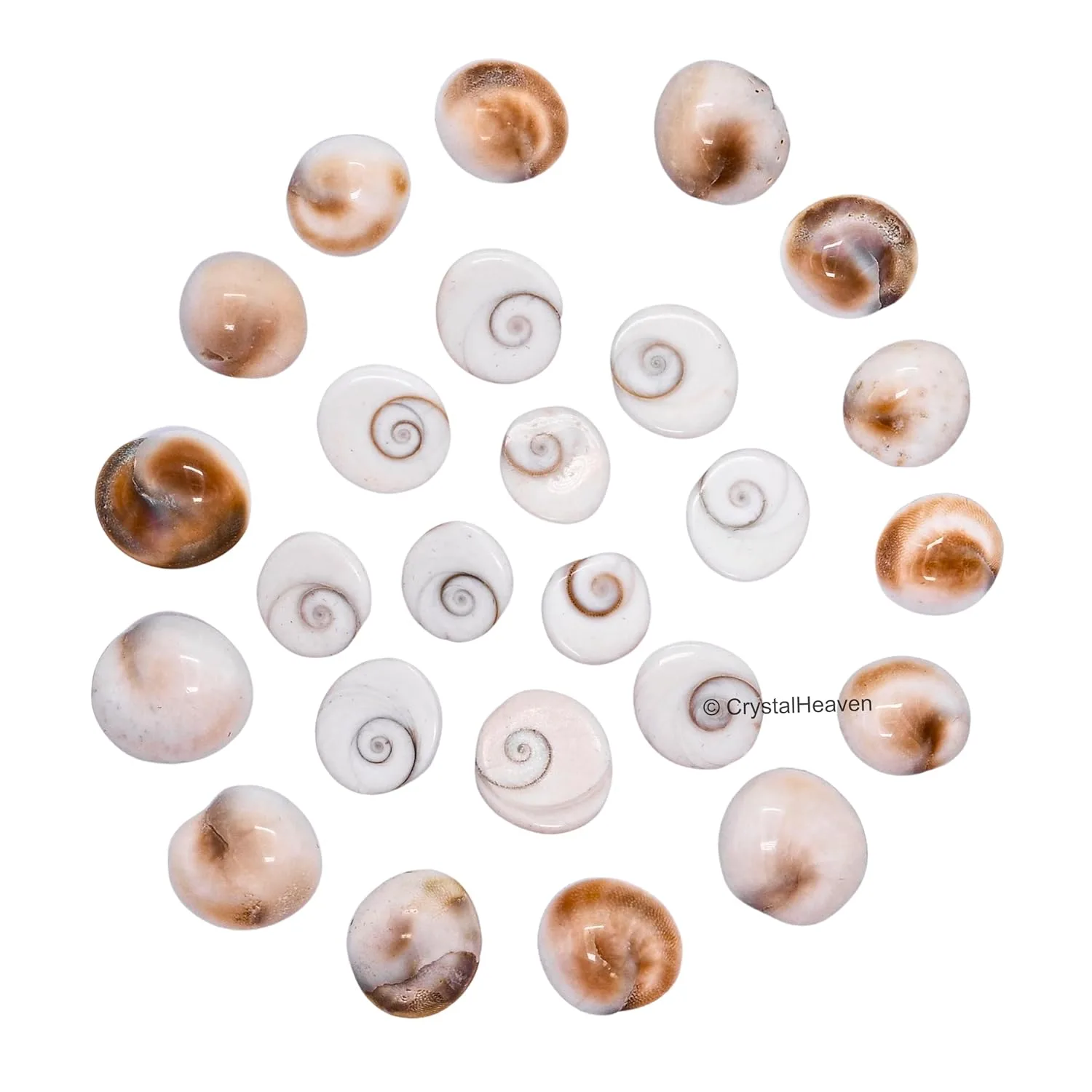 gomati chakra original stones 2