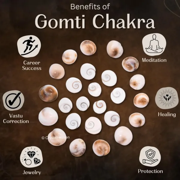 gomati chakra original stones 3