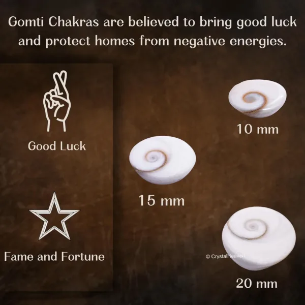 gomati chakra original stones 4