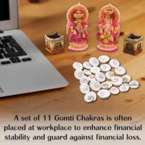 gomati chakra original stones 5