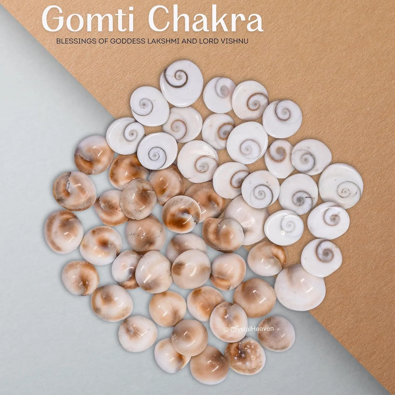 gomati chakra original stones 6