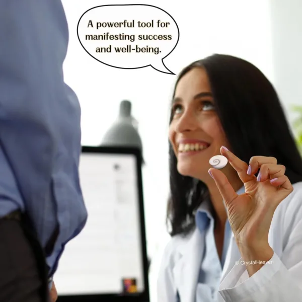 gomati chakra original stones 7