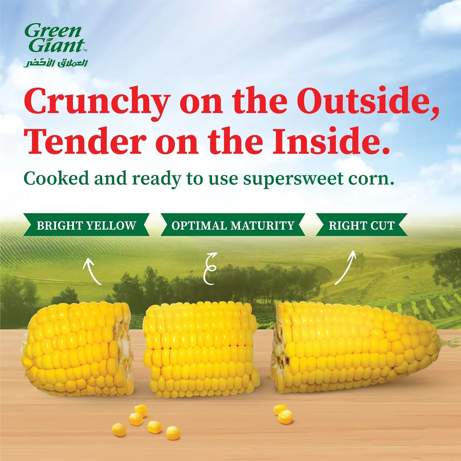 green giant supersweet corn 3