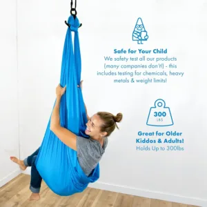 harkla sensory swing 2