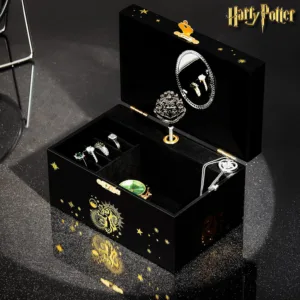 harry potter jewellery box 6